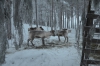 Файл=DSC_2716.jpg
Объём=497KB
Размеры=1024x678
Дата=Янв 31, 2013 DSC_2716.jpg