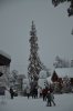 Файл=DSC_2728.jpg
Объём=360KB
Размеры=678x1024
Дата=Фев 01, 2013 DSC_2728.jpg