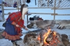 Файл=DSC_2737.jpg
Объём=461KB
Размеры=1024x678
Дата=Фев 01, 2013 DSC_2737.jpg
