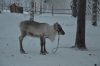 Файл=DSC_2767.jpg
Объём=351KB
Размеры=1024x678
Дата=Фев 01, 2013 DSC_2767.jpg