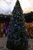 Файл=DSC_2942.jpg
Объём=493KB
Размеры=678x1024
Дата=Фев 05, 2013 DSC_2942.jpg