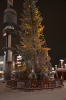 Файл=DSC_2958.jpg
Объём=461KB
Размеры=678x1024
Дата=Фев 07, 2013 DSC_2958.jpg