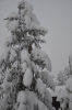 Файл=DSC_3023.jpg
Объём=340KB
Размеры=678x1024
Дата=Фев 01, 2013 DSC_3023.jpg