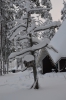 Файл=DSC_3045.jpg
Объём=495KB
Размеры=678x1024
Дата=Фев 10, 2013 DSC_3045.jpg