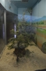 Файл=DSC_3056.jpg
Объём=505KB
Размеры=678x1024
Дата=Фев 10, 2013 DSC_3056.jpg