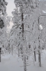 Файл=DSC_3066.jpg
Объём=544KB
Размеры=678x1024
Дата=Фев 10, 2013 DSC_3066.jpg
