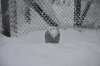 Файл=DSC_3068.jpg
Объём=116KB
Размеры=1024x678
Дата=Фев 10, 2013 DSC_3068.jpg