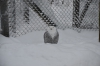 DSC_3069.jpg