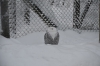 DSC_3070.jpg