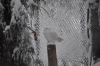 DSC_3076.jpg