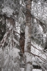 Файл=DSC_3091.jpg
Объём=500KB
Размеры=678x1024
Дата=Фев 10, 2013 DSC_3091.jpg