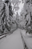 Файл=DSC_3105.jpg
Объём=484KB
Размеры=678x1024
Дата=Фев 10, 2013 DSC_3105.jpg