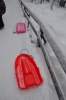 DSC_3111.jpg
