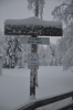 Файл=DSC_3136.jpg
Объём=403KB
Размеры=678x1024
Дата=Фев 10, 2013 DSC_3136.jpg