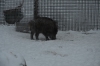 Файл=DSC_3147.jpg
Объём=408KB
Размеры=1024x678
Дата=Фев 10, 2013 DSC_3147.jpg