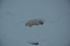 Файл=DSC_3166.jpg
Объём=258KB
Размеры=1024x678
Дата=Фев 10, 2013 DSC_3166.jpg