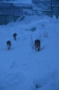 Файл=DSC_3172.jpg
Объём=386KB
Размеры=678x1024
Дата=Фев 10, 2013 DSC_3172.jpg