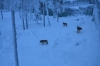 Файл=DSC_3175.jpg
Объём=389KB
Размеры=1024x678
Дата=Фев 10, 2013 DSC_3175.jpg