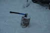 Файл=DSC_3185.jpg
Объём=318KB
Размеры=1024x678
Дата=Фев 10, 2013 DSC_3185.jpg