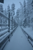 Файл=DSC_3218.jpg
Объём=478KB
Размеры=678x1024
Дата=Фев 10, 2013 DSC_3218.jpg