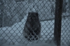 Файл=DSC_3223.jpg
Объём=431KB
Размеры=1024x678
Дата=Фев 10, 2013 DSC_3223.jpg