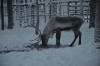Файл=DSC_3238.jpg
Объём=405KB
Размеры=1024x678
Дата=Фев 10, 2013 DSC_3238.jpg