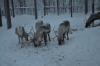Файл=DSC_3240.jpg
Объём=436KB
Размеры=1024x678
Дата=Фев 10, 2013 DSC_3240.jpg