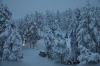 Файл=DSC_3272.jpg
Объём=510KB
Размеры=1024x678
Дата=Фев 10, 2013 DSC_3272.jpg