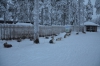 Файл=DSC_3273.jpg
Объём=491KB
Размеры=1024x678
Дата=Фев 10, 2013 DSC_3273.jpg