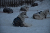 Файл=DSC_3274.jpg
Объём=350KB
Размеры=1024x678
Дата=Фев 10, 2013 DSC_3274.jpg