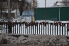 Файл=DSC_3351.jpg
Объём=499KB
Размеры=1024x678
Дата=Фев 14, 2013 DSC_3351.jpg