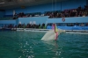 Файл=DSC_3583.jpg
Объём=343KB
Размеры=1024x678
Дата=Фев 18, 2013 DSC_3583.jpg