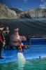 Файл=DSC_3602.jpg
Объём=458KB
Размеры=678x1024
Дата=Фев 18, 2013 DSC_3602.jpg