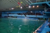 Файл=DSC_3615.jpg
Объём=357KB
Размеры=1024x678
Дата=Фев 18, 2013 DSC_3615.jpg