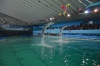 Файл=DSC_3618.jpg
Объём=385KB
Размеры=1024x678
Дата=Фев 18, 2013 DSC_3618.jpg