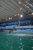 Файл=DSC_3629.jpg
Объём=426KB
Размеры=678x1024
Дата=Фев 18, 2013 DSC_3629.jpg