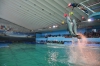 Файл=DSC_3639.jpg
Объём=354KB
Размеры=1024x678
Дата=Фев 18, 2013 DSC_3639.jpg