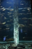 Файл=DSC_3664.jpg
Объём=490KB
Размеры=678x1024
Дата=Фев 21, 2013 DSC_3664.jpg