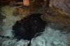 Файл=DSC_3719.jpg
Объём=438KB
Размеры=1024x678
Дата=Фев 21, 2013 DSC_3719.jpg