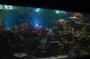 Файл=DSC_3731.jpg
Объём=408KB
Размеры=1024x678
Дата=Фев 21, 2013 DSC_3731.jpg
