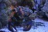 Файл=DSC_3761.jpg
Объём=405KB
Размеры=1024x678
Дата=Фев 21, 2013 DSC_3761.jpg