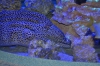Файл=DSC_3776.jpg
Объём=437KB
Размеры=1024x678
Дата=Фев 21, 2013 DSC_3776.jpg