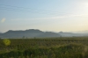 Файл=DSC_4395.jpg
Объём=292KB
Размеры=1024x678
Дата=Май 13, 2013 DSC_4395.jpg