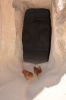 Файл=DSC_4924.jpg
Объём=411KB
Размеры=678x1024
Дата=Май 28, 2013 DSC_4924.jpg