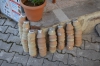 Файл=DSC_5032.jpg
Объём=408KB
Размеры=1024x678
Дата=Май 28, 2013 DSC_5032.jpg