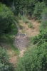 Файл=DSC_5117.jpg
Объём=503KB
Размеры=678x1024
Дата=Июнь 05, 2013 DSC_5117.jpg