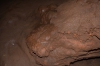 Файл=DSC_5163.jpg
Объём=449KB
Размеры=1024x678
Дата=Июнь 05, 2013 DSC_5163.jpg