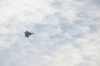 Файл=DSC_5488.jpg
Объём=176KB
Размеры=1024x678
Дата=Сент 04, 2015 DSC_5488.jpg