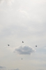 DSC_5557.jpg