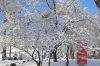 Файл=DSC_6356.jpg
Объём=297KB
Размеры=1024x678
Дата=Март 12, 2016 DSC_6356.jpg